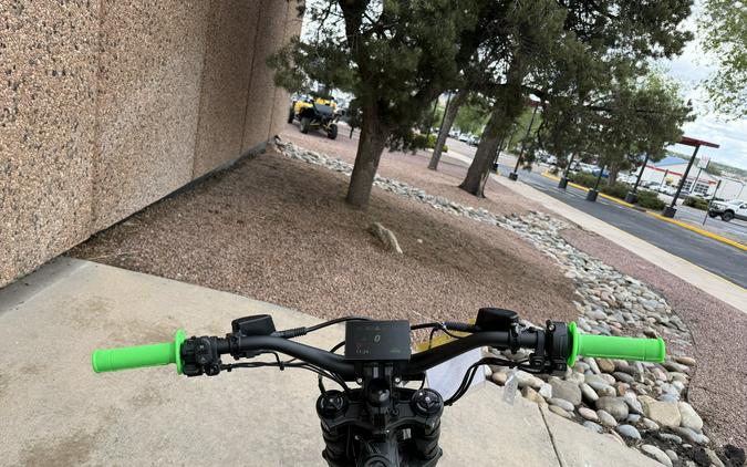 2025 E-Ride Pro SR 19/16