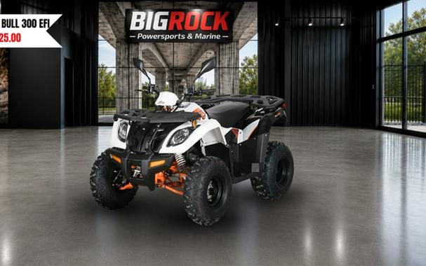 2025 Kayo Bull 300 EFI