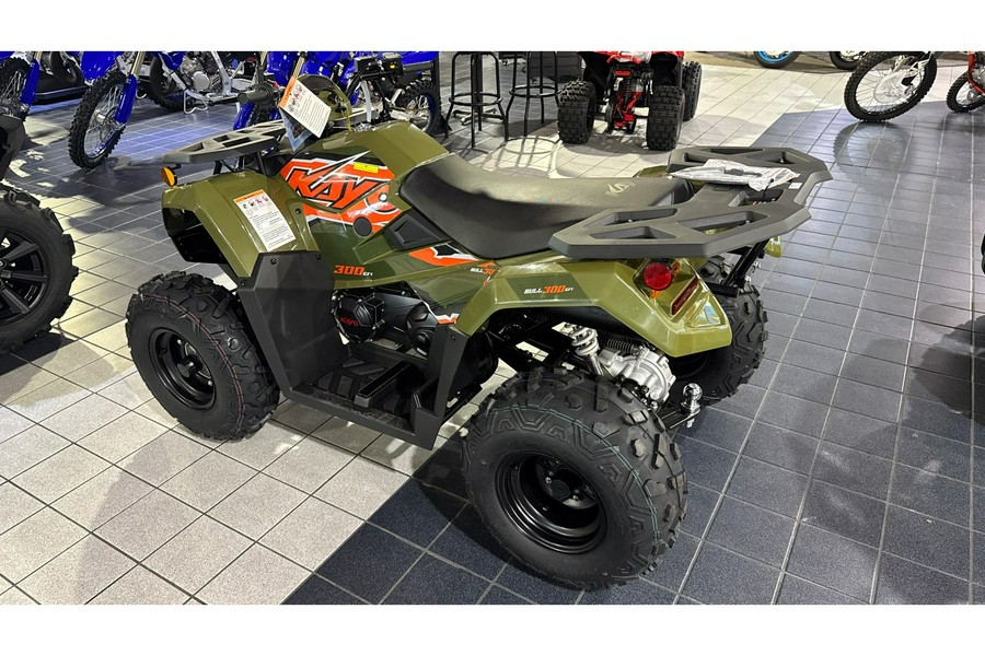 2025 Kayo BULL 300 EFI