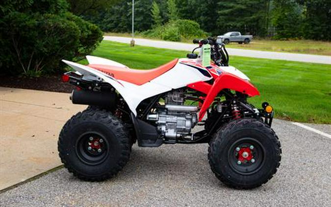 2024 Honda TRX250X