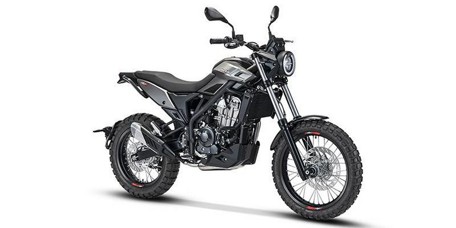 2026 Beta Motorcycles Alp X