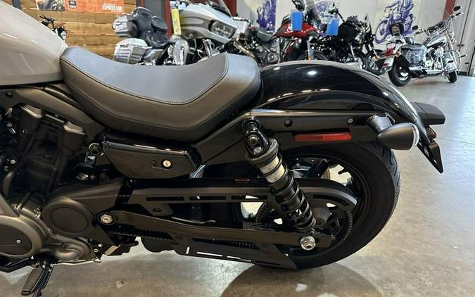 2024 Harley-Davidson® RH975 - Nightster®