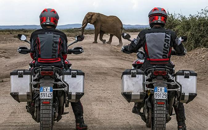 2024 Ducati Multistrada V4 Rally