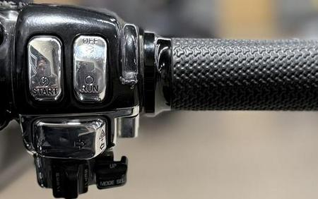 2009 Harley-Davidson® FLHX - Street Glide®