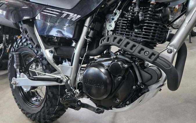 2026 Yamaha TW 200