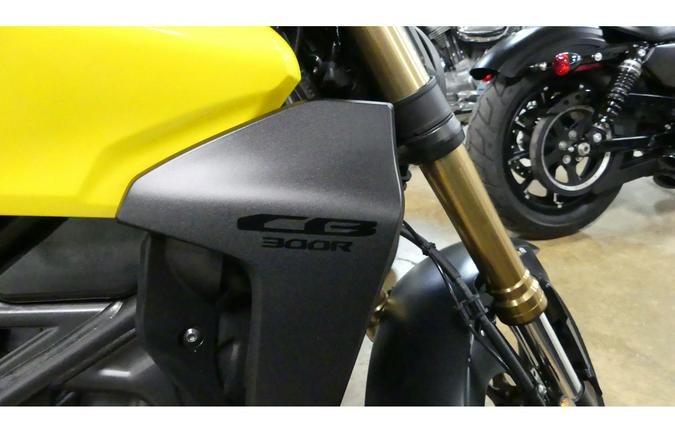 2024 Honda CB300R ABS (CA)