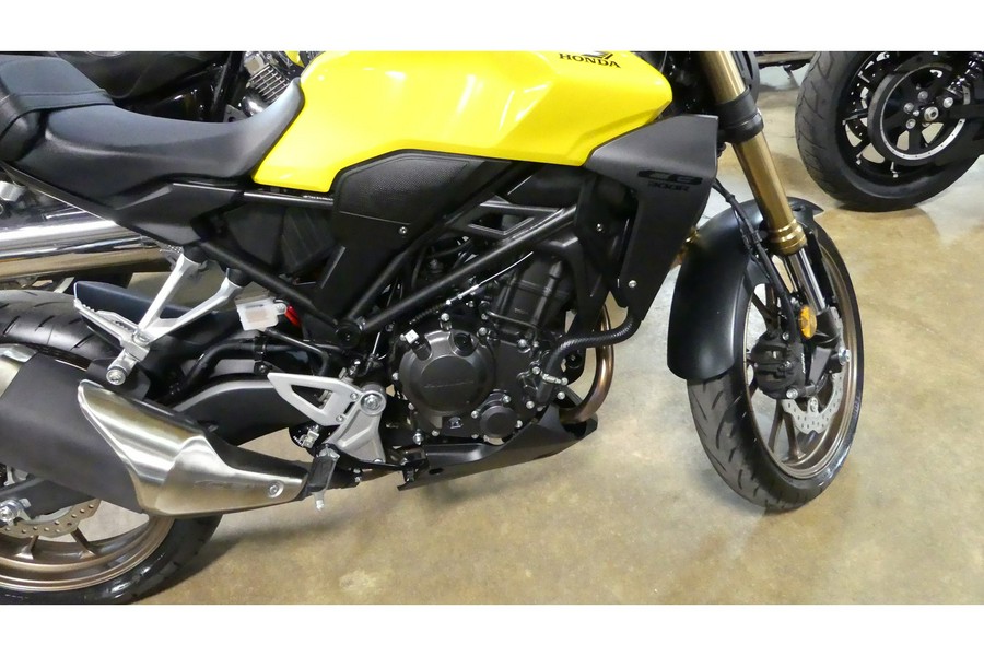 2024 Honda CB300R ABS (CA)