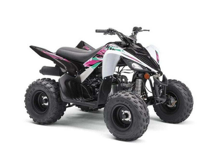 2019 Yamaha Raptor 90