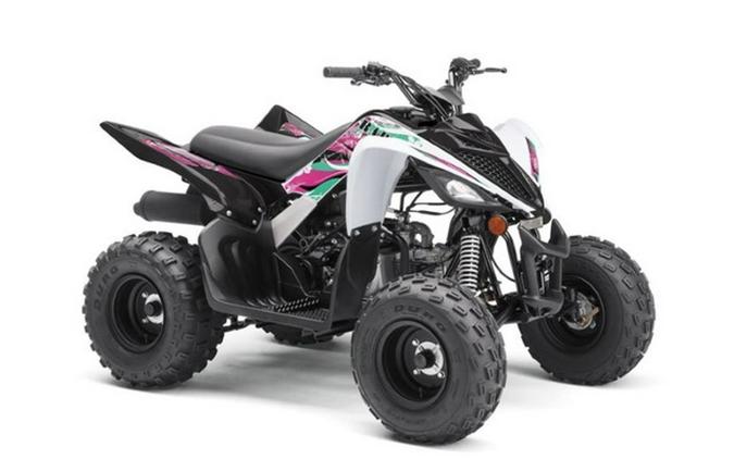 2019 Yamaha Raptor 90