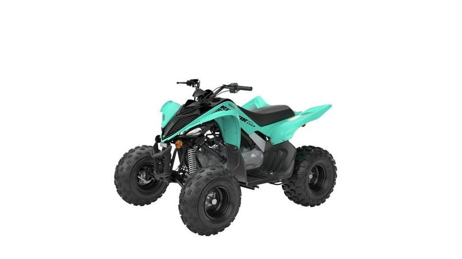 2024 Yamaha Raptor 110 - Green Sticker Registration!