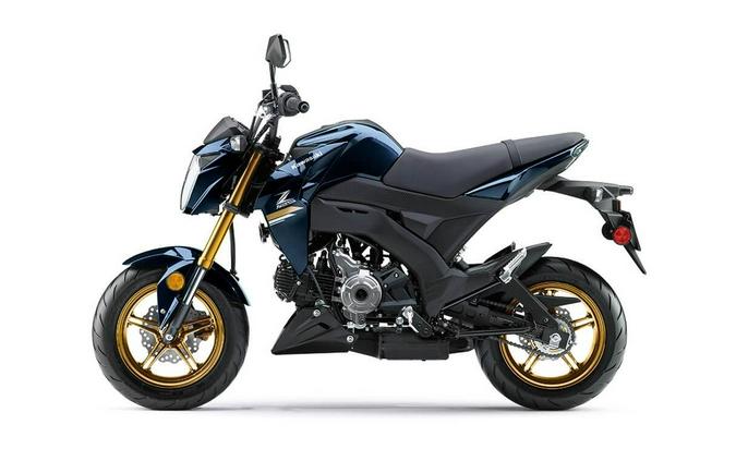 2023 Kawasaki Z125 PRO Base