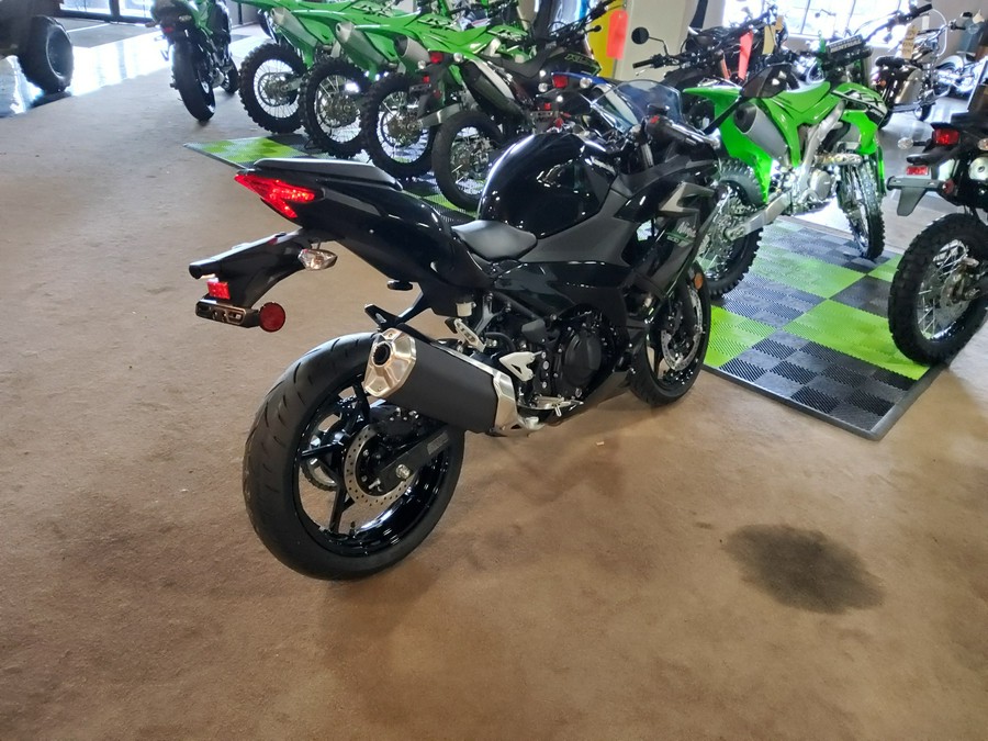 2024 Kawasaki Ninja® 500 Base