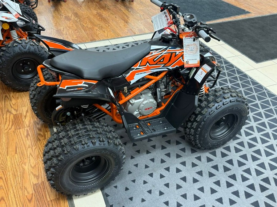 2025 Kayo Predator 125