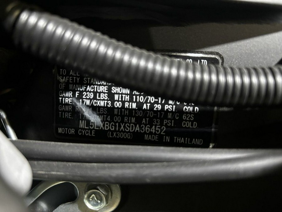 2025 Kawasaki KLX300SM