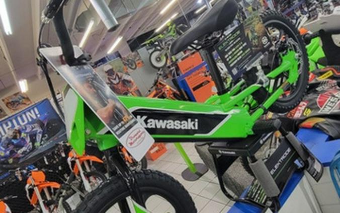 2023 Kawasaki Elektrode