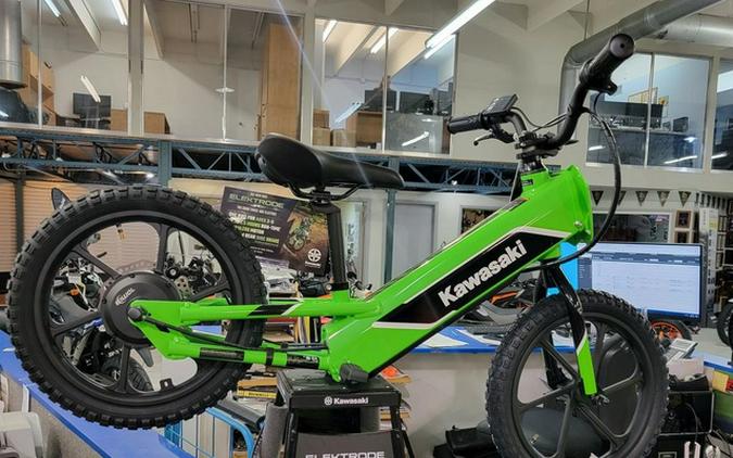 2023 Kawasaki Elektrode