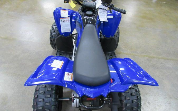 2024 Yamaha Raptor 110