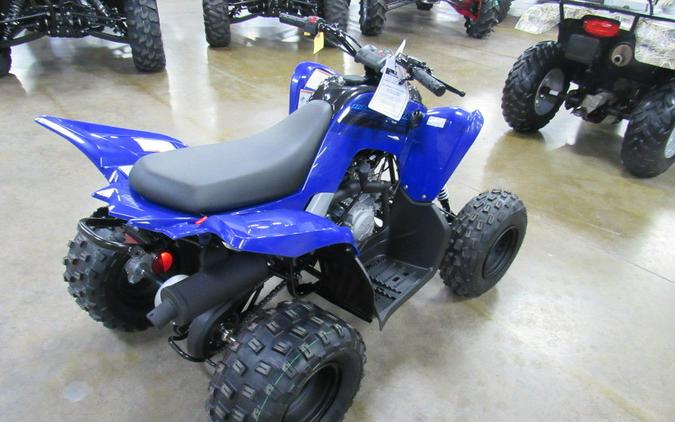 2024 Yamaha Raptor 110