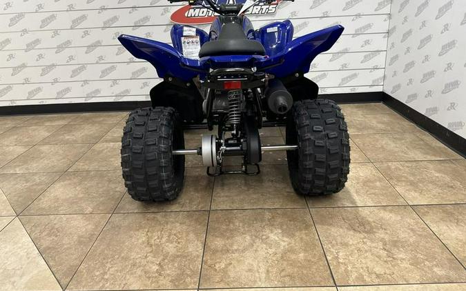 2025 Yamaha Raptor 110