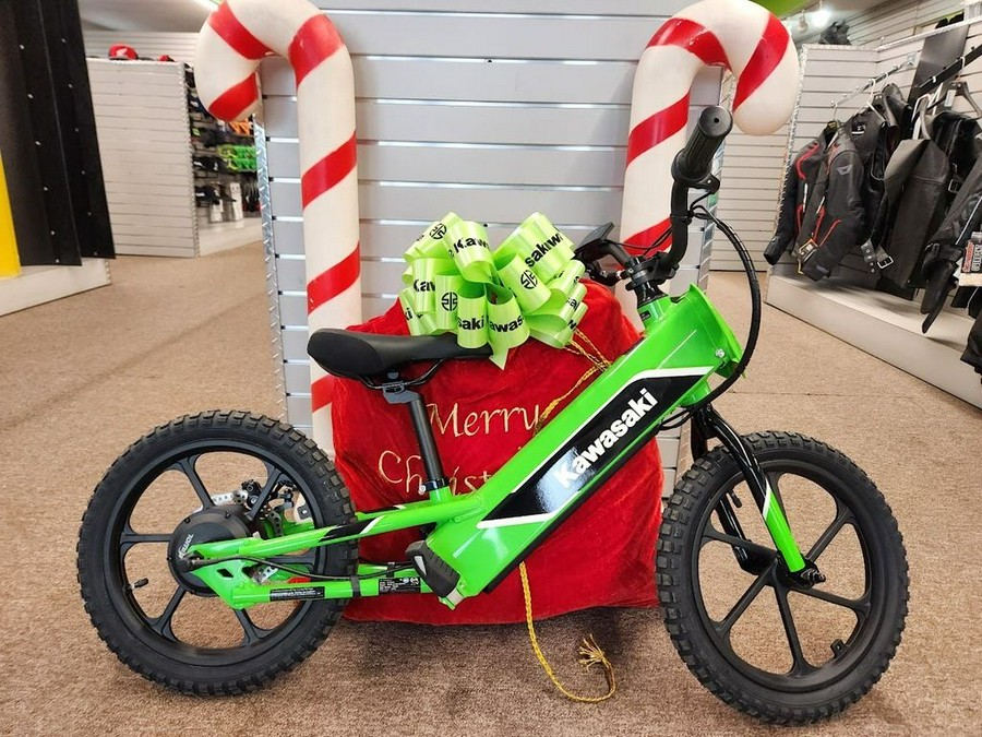 2023 Kawasaki Elektrode™