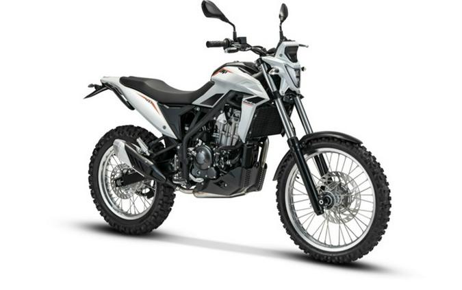 2026 Beta Motorcycles Alp 4.0