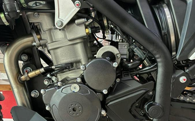 2026 Beta Motorcycles Alp 4.0