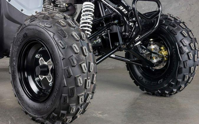 2026 Polaris Phoenix 200