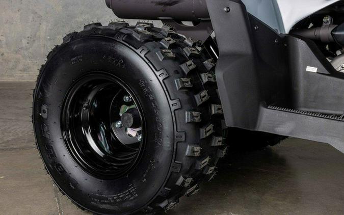 2026 Polaris Phoenix 200