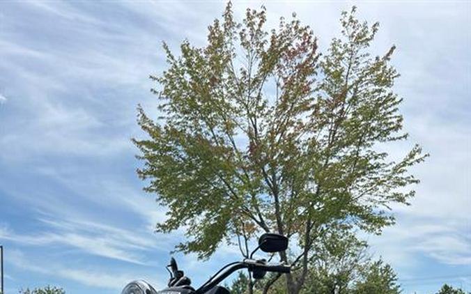 2024 Harley-Davidson Freewheeler®