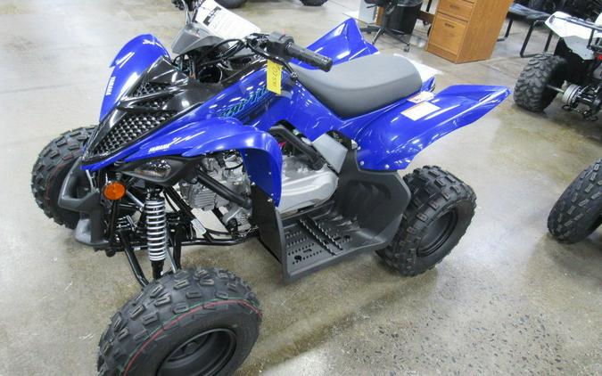 2024 Yamaha Raptor 110