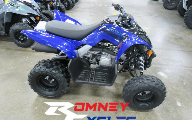 2024 Yamaha Raptor 110