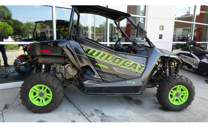 2020 Arctic Cat Wildcat XX