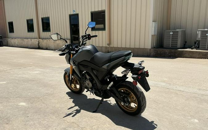 2024 Kawasaki Z125 PRO Base