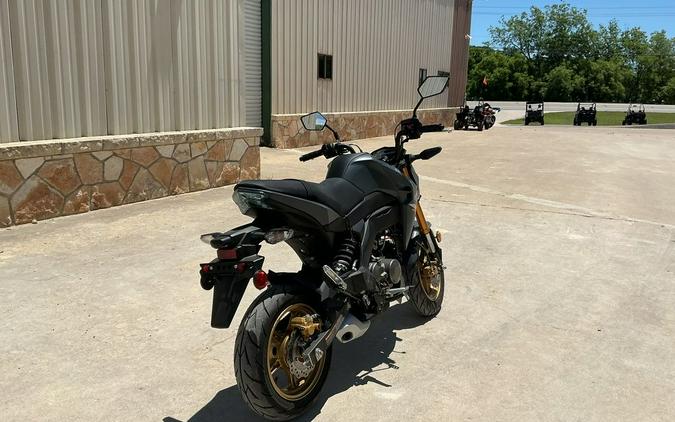 2024 Kawasaki Z125 PRO Base