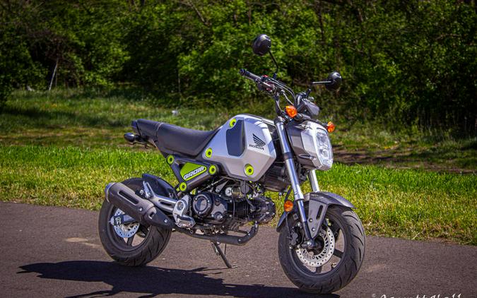 2022 Honda Grom Review (A Dozen Fast Facts From Alabama)