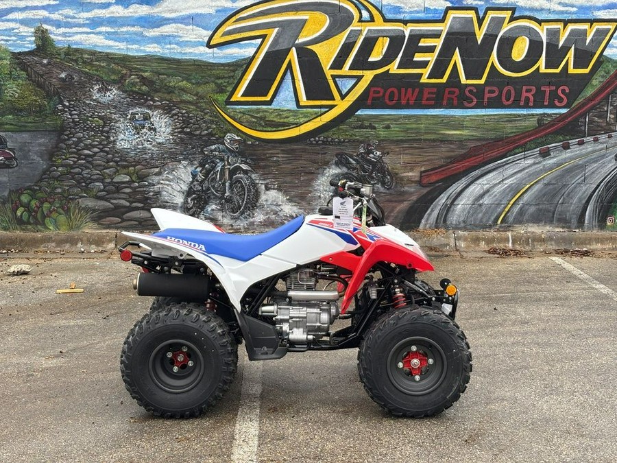 2026 Honda® TRX250X