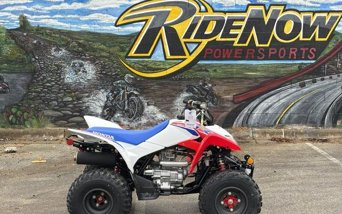 2026 Honda® TRX250X