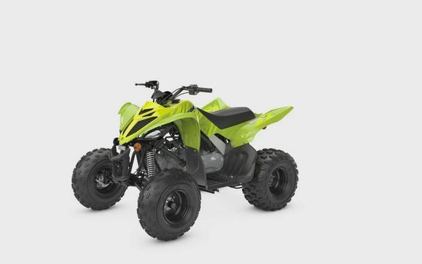 2026 Yamaha Raptor 110