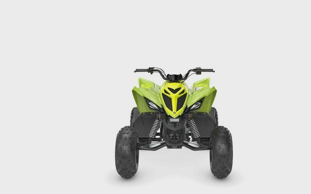 2026 Yamaha Raptor 110
