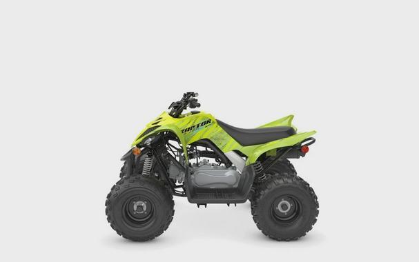 2026 Yamaha Raptor 110