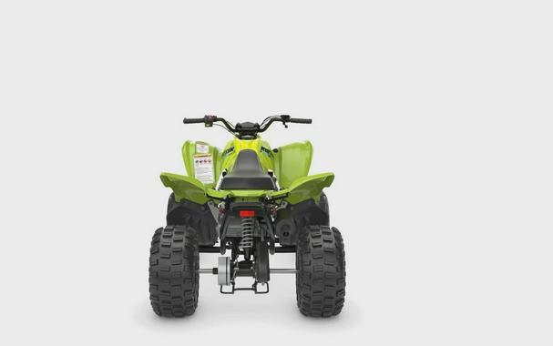 2026 Yamaha Raptor 110