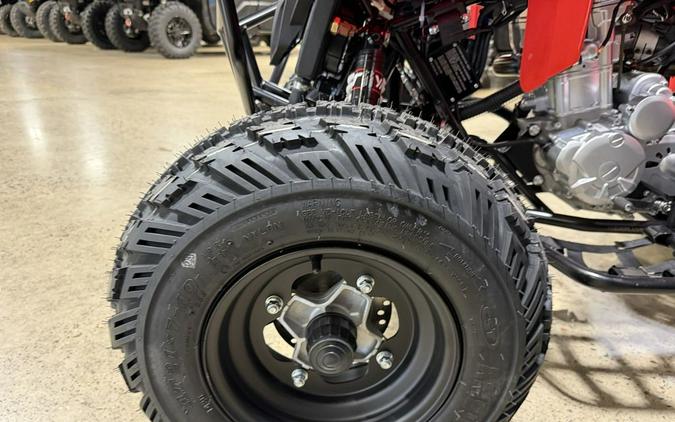 2027 Kayo Storm 300 EFI