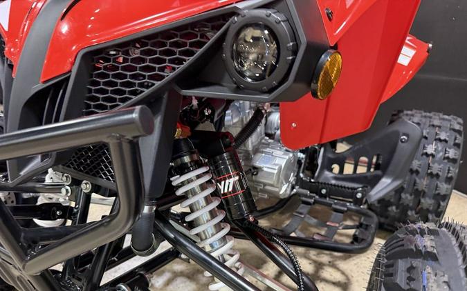 2027 Kayo Storm 300 EFI