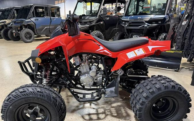 2027 Kayo Storm 300 EFI