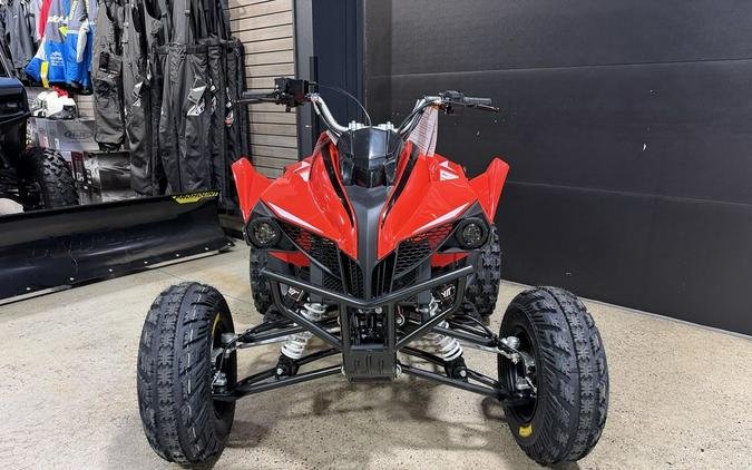 2027 Kayo Storm 300 EFI