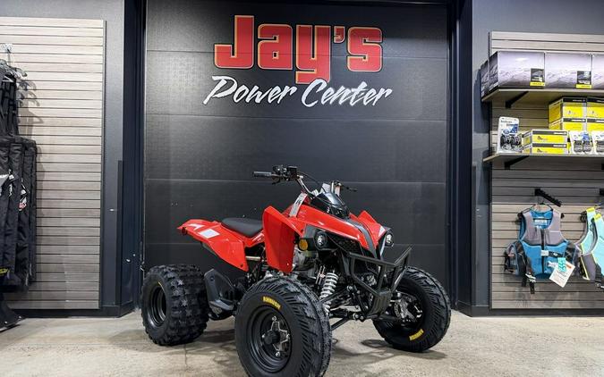 2027 Kayo Storm 300 EFI