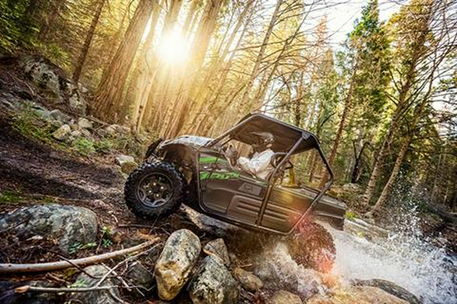 2019 Kawasaki Teryx LE