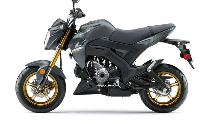 2024 Kawasaki Z125 Pro