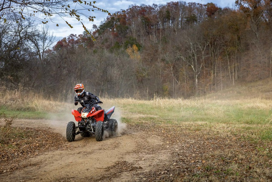 2024 Honda [Off-Site Inventory] TRX250X [Age 16+]