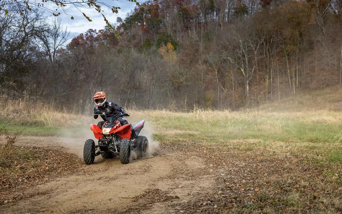 2024 Honda [Off-Site Inventory] TRX250X [Age 16+]